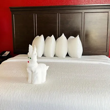 Pier House 60 Clearwater Beach Marina Hotel Room photo